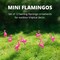 4E's Novelty 12 Pcs Twirling Wings Pink Flamingo Yard Decorations Small - Flamingo Garden Decor & Party Supplies